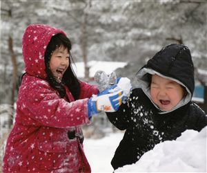 第5回特別賞（冬）受賞作品「雪合戦」