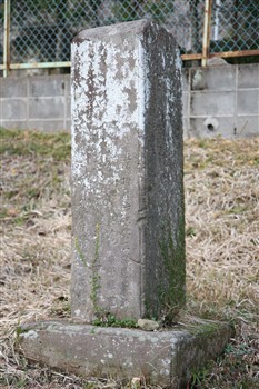 隅州冨隈新松林記写真