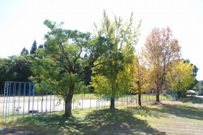 画像_牧園中学校03