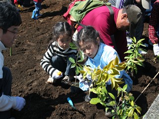 植樹会の様子1