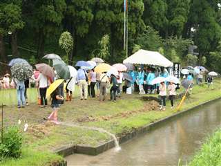 鹿児島神宮お田植祭3