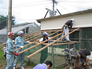 飼育小屋リフォーム大作成の様子