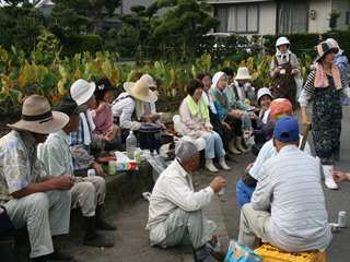 西牧之原長寿会によるサトイモの収穫