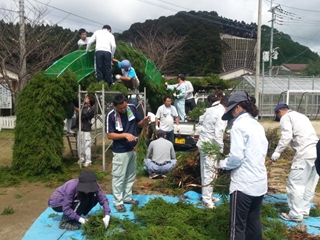 大田小学校緑門づくり