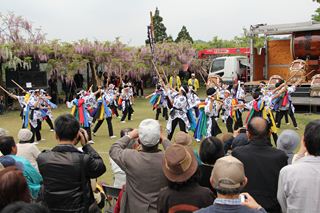 第10回和気公園藤まつり開花セレモニー