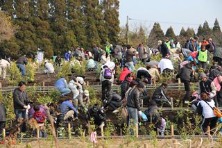 霧島市10万本植林プロジェクト3