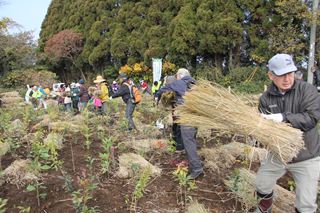 霧島市10万本植林プロジェクト4