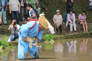 鹿児島神宮お田植祭