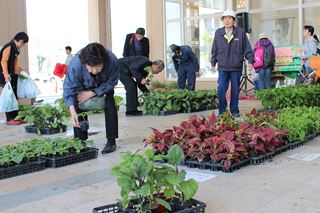 花や野菜の即売会3