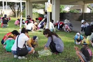 小浜海岸の錦江湾クリーンアップ作戦4