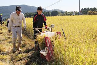 霧島桂内地区の稲刈り