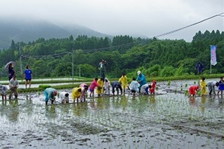 古式(こしき)田植え