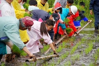 古式(こしき)田植え2