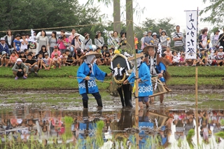 よんかた祭りの画像