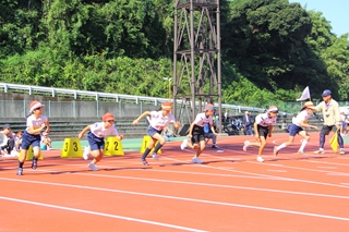 市小学校陸上記録会野画像1