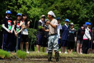 田植え体験をする短大生ら3