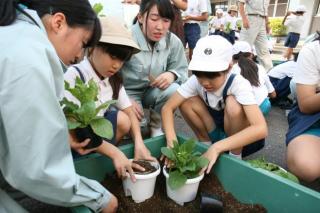 国分中央高校園芸工学科の生徒による出前授業3