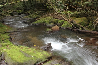 天降川源流の画像