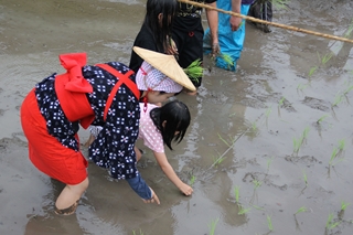 福山町佳例川地区のお田植え祭2