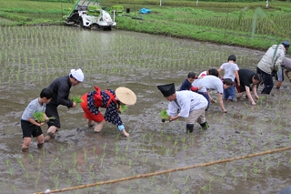 福山町佳例川地区のお田植え祭3