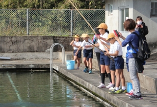 万膳小学校の校内ニジマス釣り大会