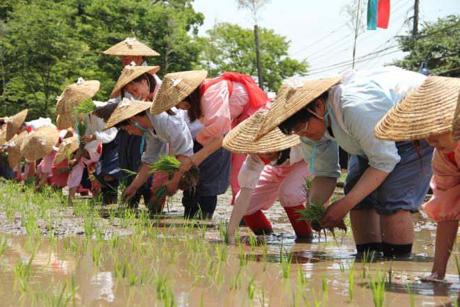 鹿児島神宮御田植祭1