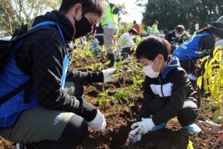 20112110万本植林