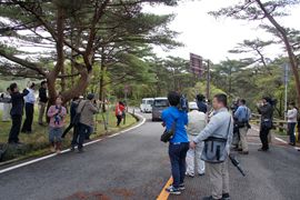 県道1号線通行可能の画像