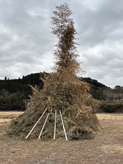 植村地区