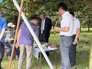 国分観光農園視察の写真