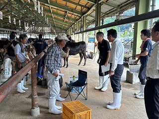 姶良秋季畜産共進会の写真