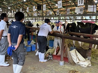 全日本ホルスタイン共進会県予選大会の写真