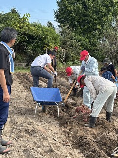 サツマイモ収穫祭写真