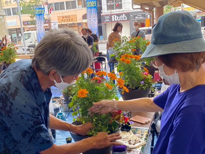 推奨花の花育て教室3