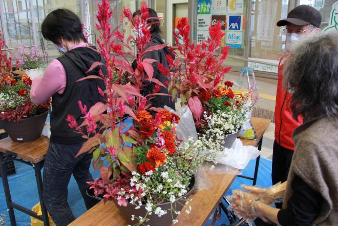 推奨花の花育て教室4