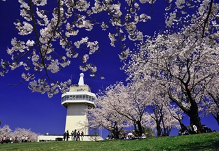 城山公園