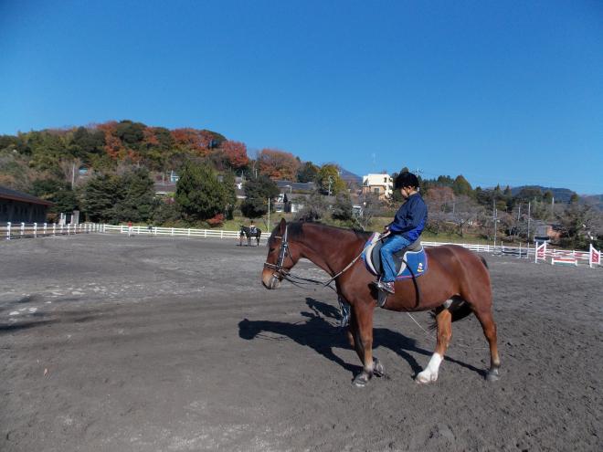 乗馬体験