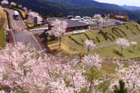 霧島神話の里公園写真