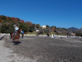 霧島高原乗馬クラブ