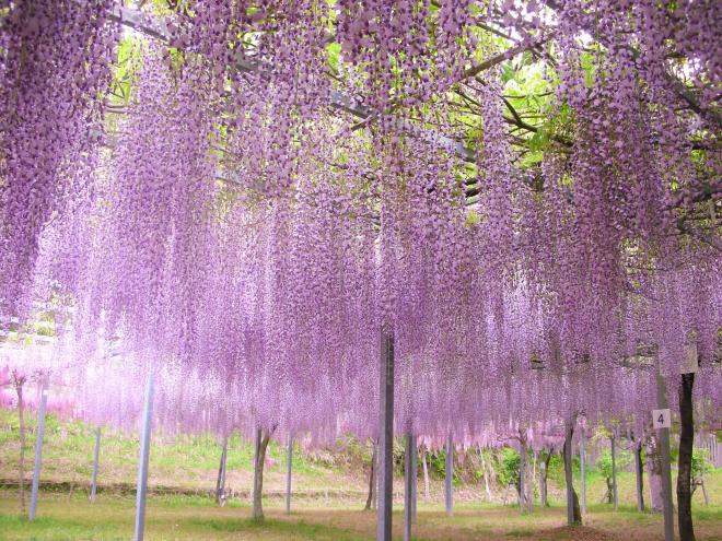 和気公園